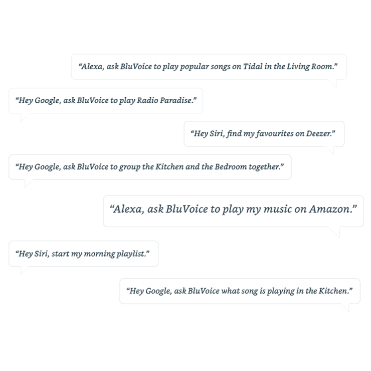 Bluesound PULSE MINI 2i Voice Control