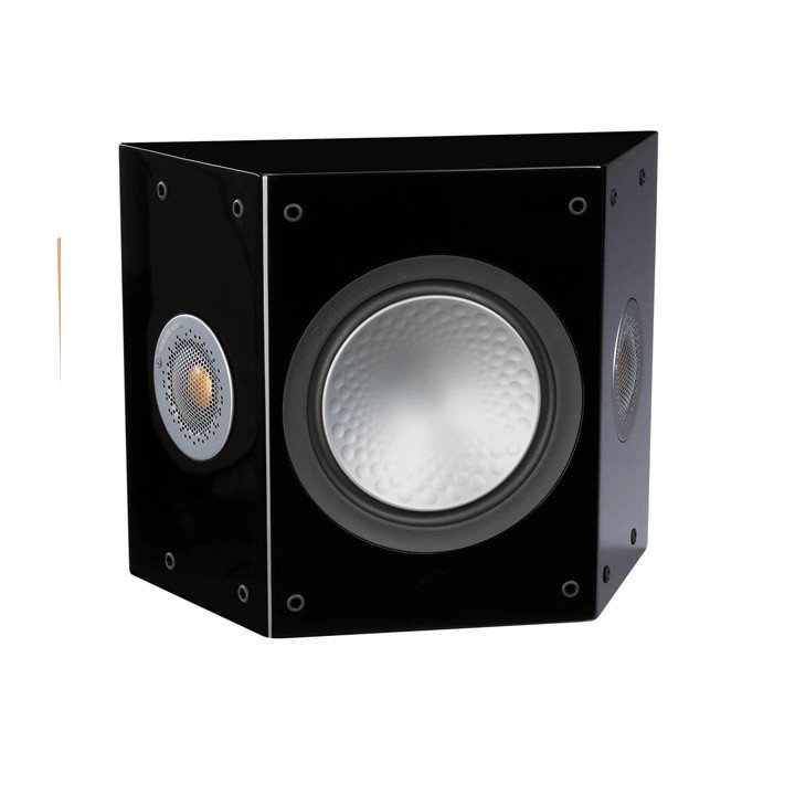 Silver 200 AV12 FX Speaker Black