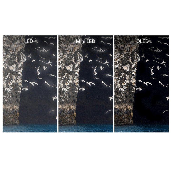 LG OLED88Z19LA Technology Comparison